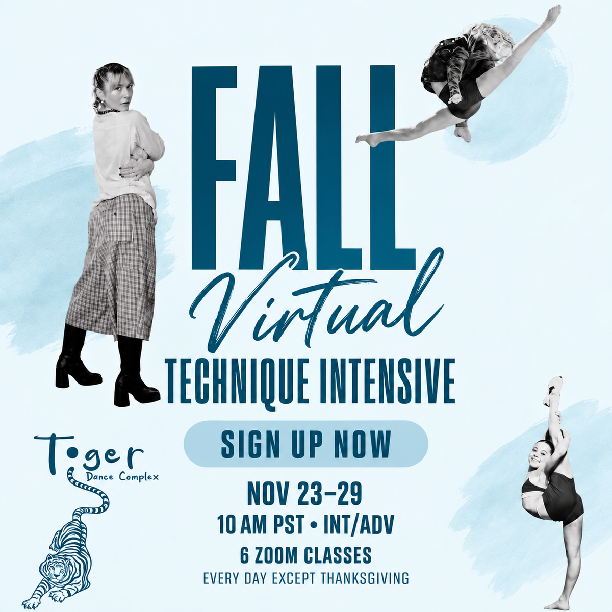 Virtual Fall Technique Intensive