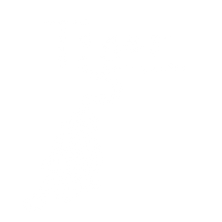 Tiger Dance Complex